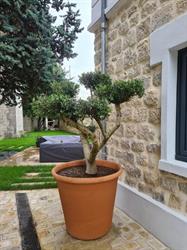 Les Jardins de Mathew, Villeneuve-Saint-Georges - Horaires d'ouverture