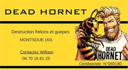 Dead Hornet, Montsoué - Horaires d'ouverture