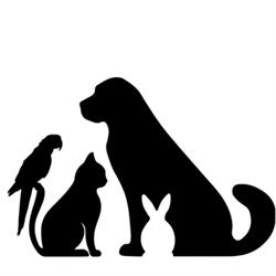 Nook&Paws, Saint-Maurice-de-Beynost - Horaires d'ouverture