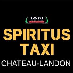 Spiritus Taxi, Château-Landon - Horaires d'ouverture