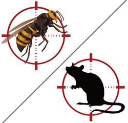 Stop Frelons Et Rats, Marcillac-Saint-Quentin - Horaires d'ouverture