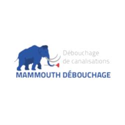 Mammouth Assainissement, Fréjus - Horaires d'ouverture