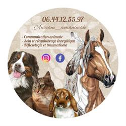 Auriane-Comanimale, Dinard - Horaires d'ouverture