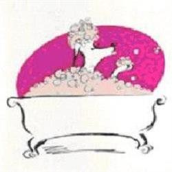 Boule De Poils Toilettage, Verneuil-l'Etang - Horaires d'ouverture