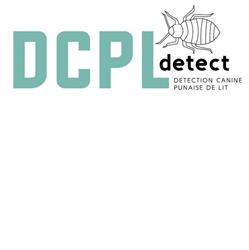 DCPL Detect, Fontainebleau - Horaires d'ouverture