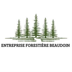 entreprise forestière beaudoin, Pargny-Filain - Horaires d'ouverture