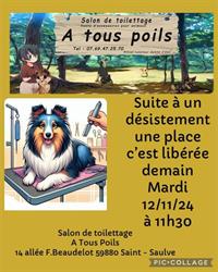 A Tous Poils Artisan Toiletteur, Saint-Saulve - Horaires d'ouverture
