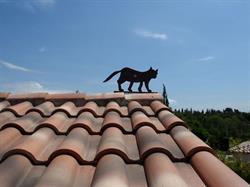 Le Chat sur le Toit, Crillon-le-Brave - Horaires d'ouverture