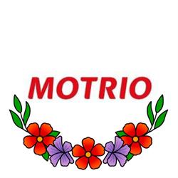 Tressens Diffusion Automobile - Motrio, Tarbes - Horaires d'ouverture