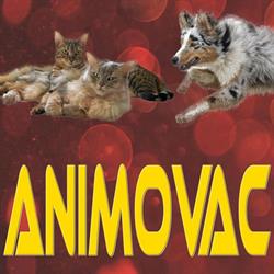 Animovac, Parigné - Horaires d'ouverture