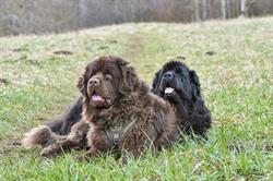Val-Educ-Canin, Mont-Saxonnex - Horaires d'ouverture
