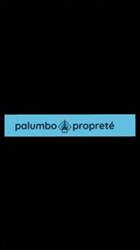 Propreté Palumbo, Uckange - Horaires d'ouverture
