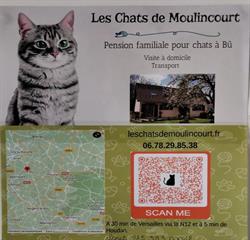 Les Chats de Moulincourt, Bû - Horaires d'ouverture