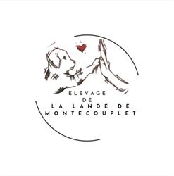 Elevage de la Lande de Montecouplet, Chassé - Horaires d'ouverture