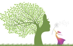 Mon souffle harmonisé Sandra Macé, sophrologue, hypnose, reiki, EMDR transpersonnelle Miniac-Morvan, - Horaires d'ouverture