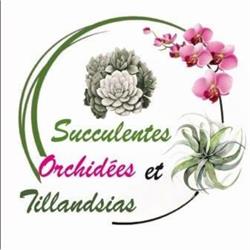 Succulentes & Orchidees, Cognac - Horaires d'ouverture