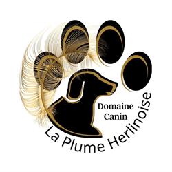 Éleveur chien - Élevage canin Pas-de-Calais - La Plume Herlinoise, Herlin-le-Sec - Horaires d'ouverture