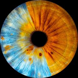 Studio Iris Le Mans, - Horaires d'ouverture