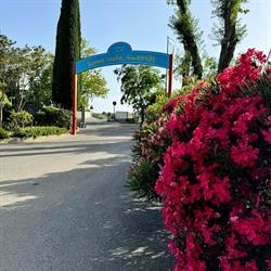 Camping Paradis - Marina Paradise, Cogolin - Horaires d'ouverture