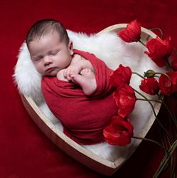 Nid'Ange Photographie, Hantay - Horaires d'ouverture