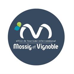 Office de Tourisme Mossig et Vignoble, Wangenbourg-Engenthal - Horaires d'ouverture