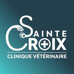 Clinique Veterinaire Sainte-Croix, Châteaugiron - Horaires d'ouverture