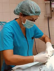 Clinique vétérinaire biot 3000, Biot - Horaires d'ouverture