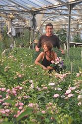 Girault Fleurs, Saint-Martin-de-Seignanx - Horaires d'ouverture
