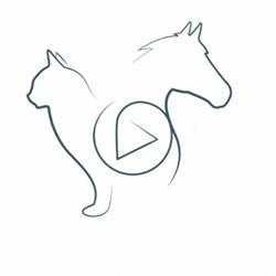 Vetmasterclass, Nesmy - Horaires d'ouverture