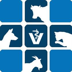 Clinique Veterinaire Des Bastides, Villefranche-de-Rouergue - Horaires d'ouverture