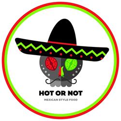 Hot or Not Mexican Style Food, Carcassonne - Horaires d'ouverture