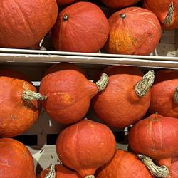 Les compagnons du Légume- Distributeur Automatique et vente à la ferme de fruits et légumes, Grémévillers - Horaires d'ouverture