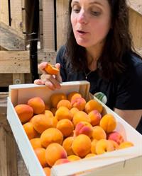 Les compagnons du Légume- Distributeur Automatique et vente à la ferme de fruits et légumes, Grémévillers - Horaires d'ouverture