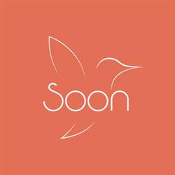 Soon, Chessy - Horaires d'ouverture