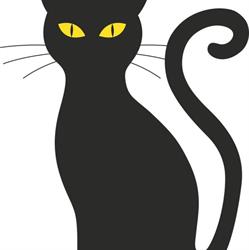 La Villa des Chats, Calais - Horaires d'ouverture