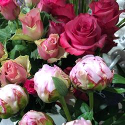 La Fleur en plus Sautron, - Horaires d'ouverture