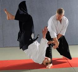 CMA AIKIDO, Aubervilliers - Horaires d'ouverture