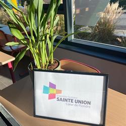 Ensemble scolaire Sainte Union Cœur de Flandre, Wormhout - Horaires d'ouverture