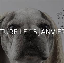 Atelier Truffes et Moustaches, Auxonne - Horaires d'ouverture