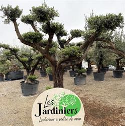 Les jardiniers, Messia-sur-Sorne - Horaires d'ouverture