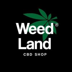 CBD PARIS 7 WEED LAND, Paris - Horaires d'ouverture
