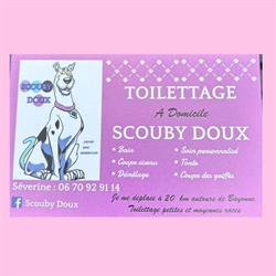 Scouby Doux, Bayonne - Horaires d'ouverture