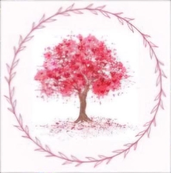 Naturocare, Nice - Horaires d'ouverture