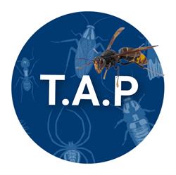T.A.P. Traitement Anti Parasites, Reims - Horaires d'ouverture