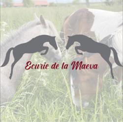 Ecurie de la Maëva, Jaignes - Horaires d'ouverture