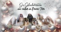 élevage de Shih-Tzu De Gibedemeaux, Blois - Horaires d'ouverture