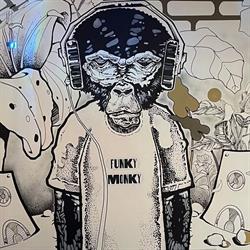 FUNKY MONKY, Lyon - Horaires d'ouverture