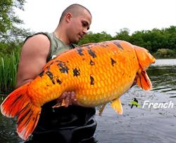FK BAITS, Autreville-sur-Moselle - Horaires d'ouverture