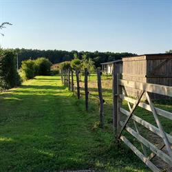 Haras de Mai - Ecurie de propriétaires & Ecole d'Equitation, Nérigean - Horaires d'ouverture