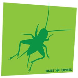 Insect-express, Wattrelos - Horaires d'ouverture